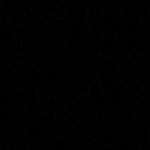 Meet your Posher, Natasha